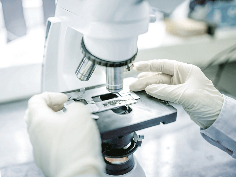 Laboratory Background